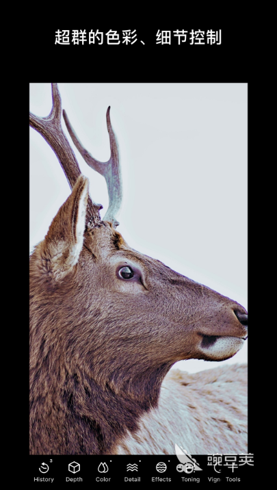 2022免费黑白照片上色软件有哪些 好用的修图APP推荐