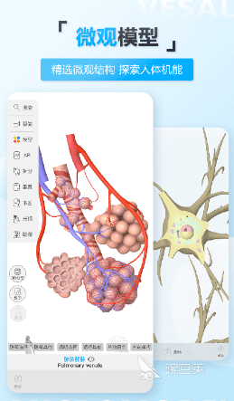 三维软件有哪些 好用的三维软件盘点