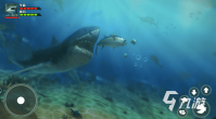鲨鱼游戏推荐2023 热门的鲨鱼游戏下载大全