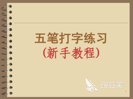 学打字的软件有哪些 打字类软件排行榜