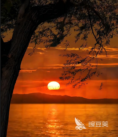 可以免费看片的视频软件大全有哪些 免费看片的视频app合集