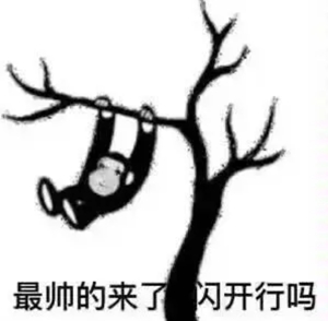 龙图表情包大全