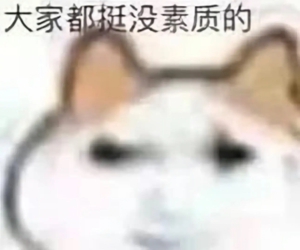 龙图表情包大全