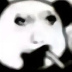 龙图表情包大全