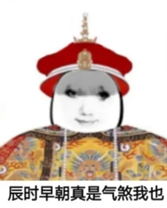 龙图表情包大全