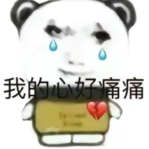 龙图表情包大全