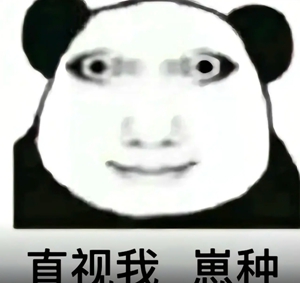 龙图表情包大全