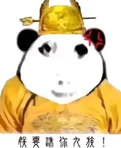 龙图表情包大全