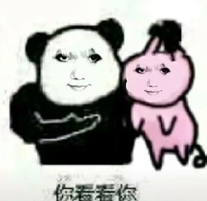 龙图表情包大全