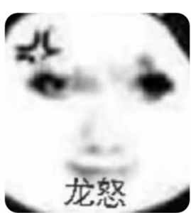龙图表情包大全
