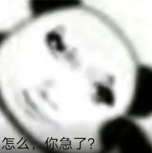 龙图表情包大全