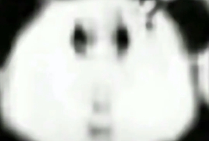 龙图表情包大全