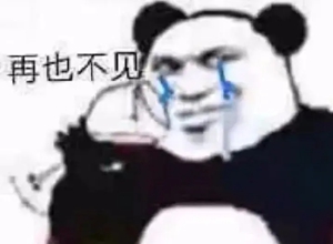 龙图表情包大全