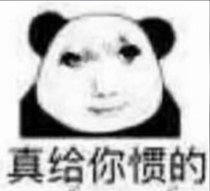 龙图表情包大全