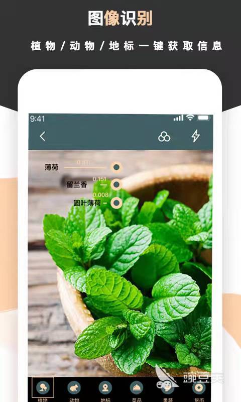 手机扫描图片的软件2022 超火爆的扫描图片的app推荐