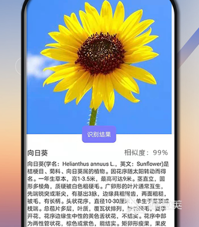 用什么软件可以辨认字体 可以识别字体app排行榜