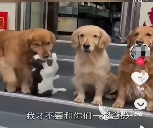 永久不收费免费看视频的软件有哪些 永久不收费免费看视频的app下载