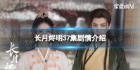 长月烬明37集剧情介绍 长月烬明第37集剧情讲了什么