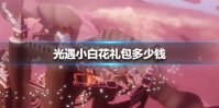 《光遇》小白花礼包多少钱 小白花礼包价格介绍