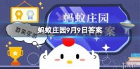 琴棋书画的棋指的是什么棋 9.9蚂蚁庄园答案最新