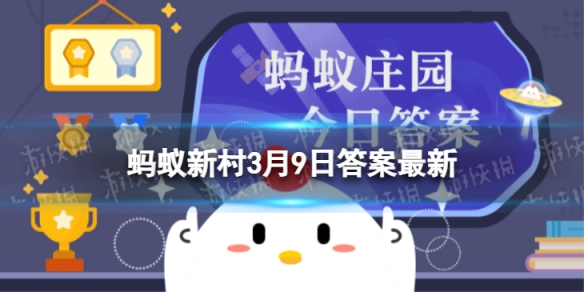 蚂蚁新村甜瓜大王 蚂蚁新村被称为甜瓜大王的是