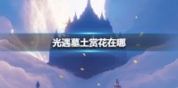 《光遇》墓土赏花在哪 墓土赏花位置介绍