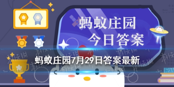 棉花是植物的花吗 蚂蚁庄园小课堂7月29日答案最新