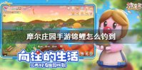 《摩尔庄园手游》锦鲤怎么钓到 锦鲤获取方式