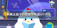 枸杞颜色越鲜艳越好吗 蚂蚁庄园今日答案早知道5月19日