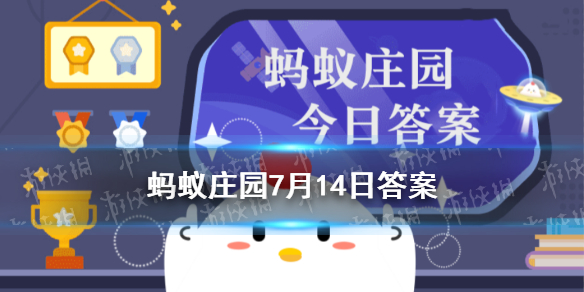 热菜可以用保鲜膜包起来吗 蚂蚁庄园热菜可以用保鲜膜覆盖吗7.14