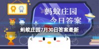 种植山药可以连作吗 蚂蚁新村7月30日答案最新