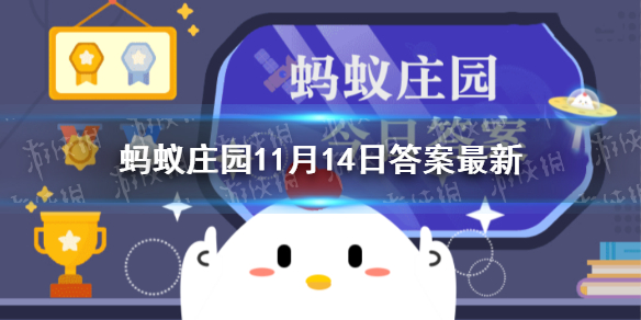 成语鸠占鹊巢中的鹊蚂蚁庄园 通常指的是11月14日答案