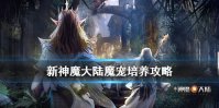 《新神魔大陆》魔宠培养攻略 如何快速提升魔宠战力