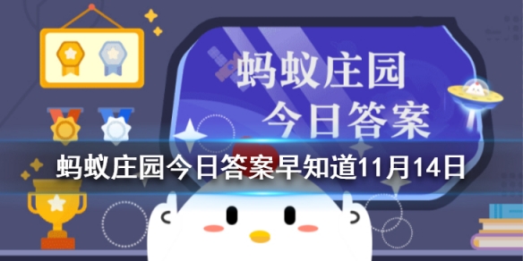 蚂蚁庄园吃核桃能让人更聪明 庄园小课堂11月14日答案早知道