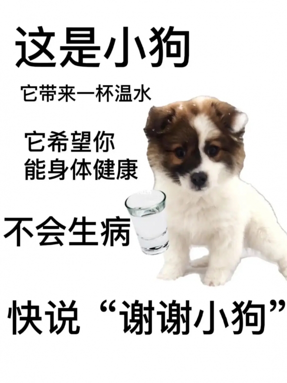 谢谢小狗是什么梗 快说谢谢小狗是什么意思
