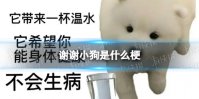 谢谢小狗是什么梗 快说谢谢小狗是什么意思