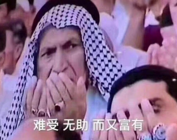 卡塔尔王子表情包 卡塔尔0-2厄瓜多尔卡塔尔王子表情包