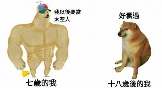 cheems狗 cheems是什么意思