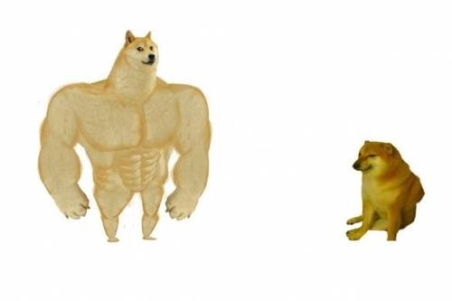 cheems狗 cheems是什么意思