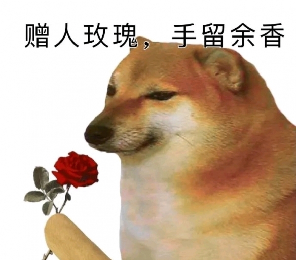 cheems狗 cheems是什么意思