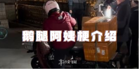 鹅腿阿姨梗介绍