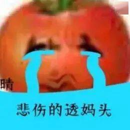 偷妈头表情包图片大全 偷妈头表情包原图分享