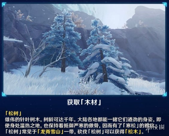 《原神》松木在哪里 松木位置一览