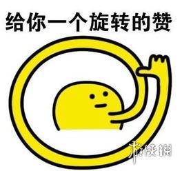 小狗8个星期学会开车 世界上首只会开车的狗