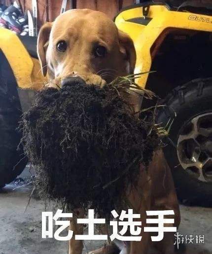 吃圭人是什么梗 吃圭人介绍