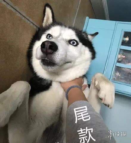 吃圭人是什么梗 吃圭人介绍