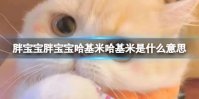 胖宝宝胖宝宝哈基米哈基米是什么意思 胖宝宝哈基米梗介绍