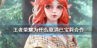 《王者荣耀》为什么取消巴宝莉合作 巴宝莉合作取消