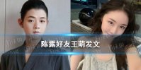 陈露好友王萌发文 既然锤了就锤到底