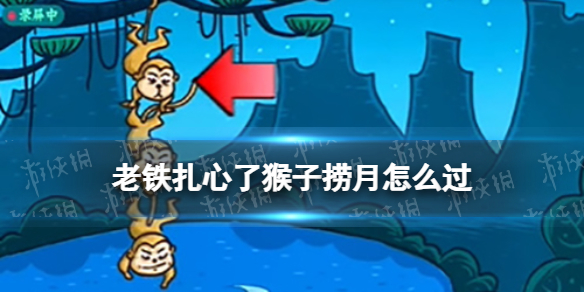 老铁扎心了猴子捞月怎么过